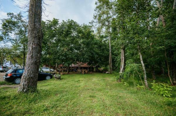 Shekhvetili Cottages 2N Zewnętrze zdjęcie